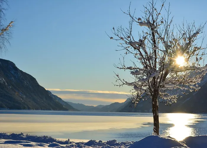 Ferieparker Sandviken Austbygde