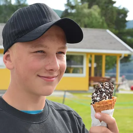 פארק נופש Sandviken 4*